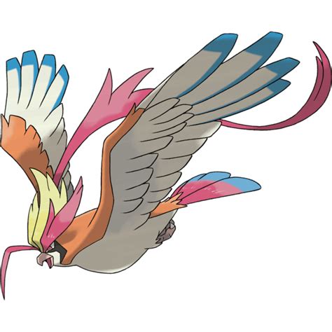 pidgeot gamepress|mega pidgeot.